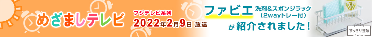 ファビエ洗剤＆スポンジラック（2wayトレー付） めざましテレビで紹介されました