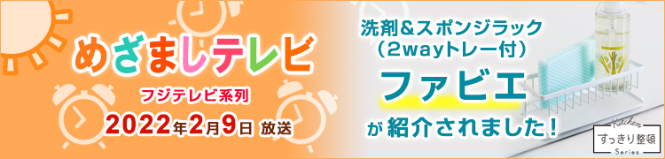 ファビエ洗剤＆スポンジラック（2wayトレー付） めざましテレビで紹介されました