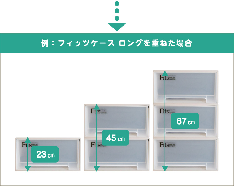 fits フィッツケース