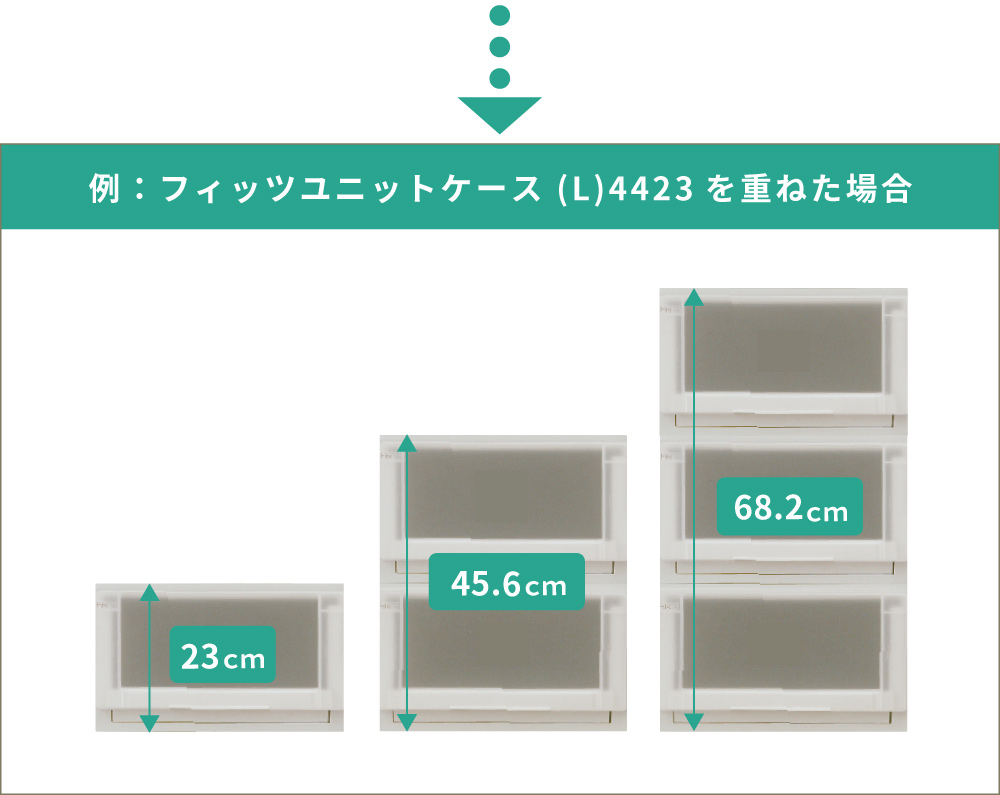 fits フィッツケース