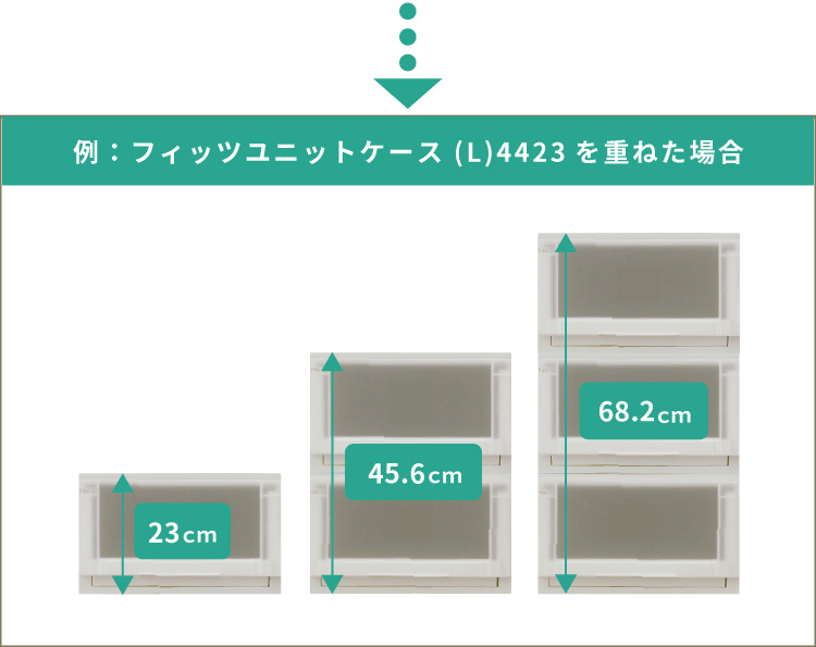 fits フィッツケース