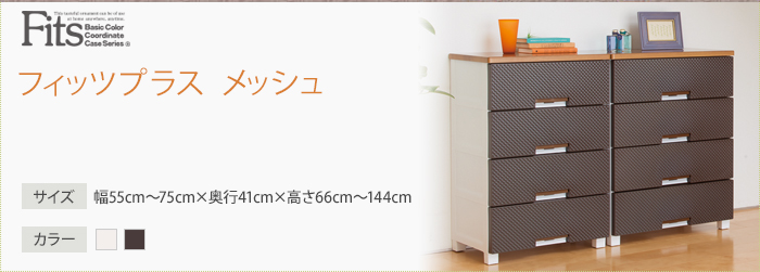 フィッツプラス メッシュ