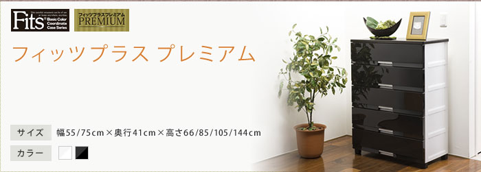 フィッツプラス プレミアム