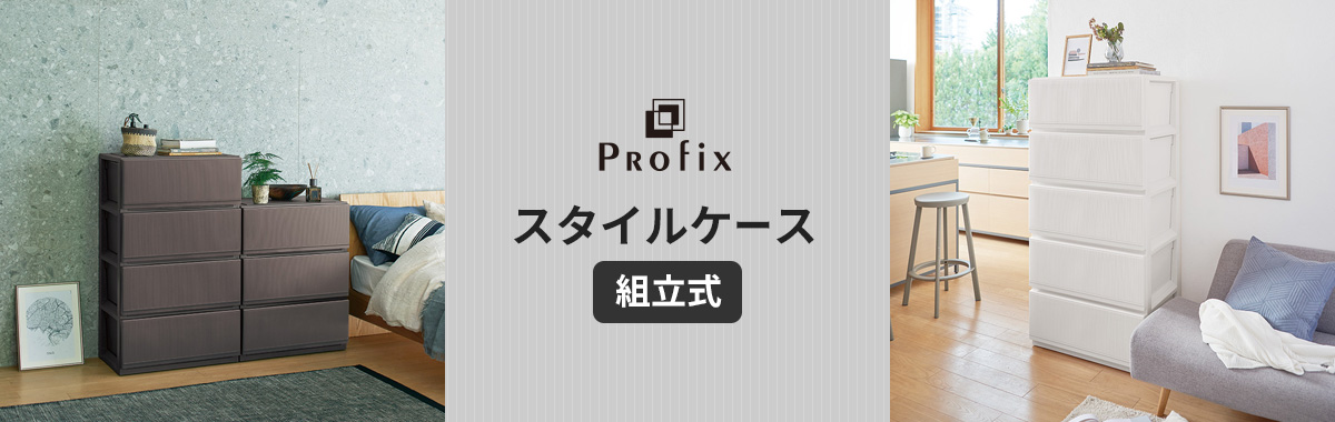 プロフィックス スタイルケース組立式