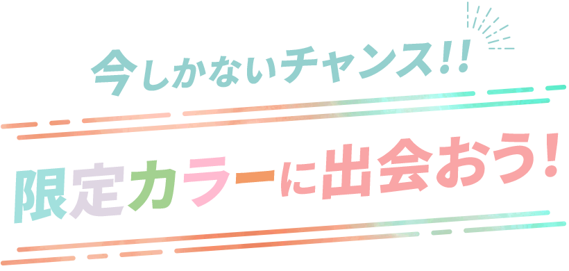 今しかないチャンス！！限定カラーに出会おう！