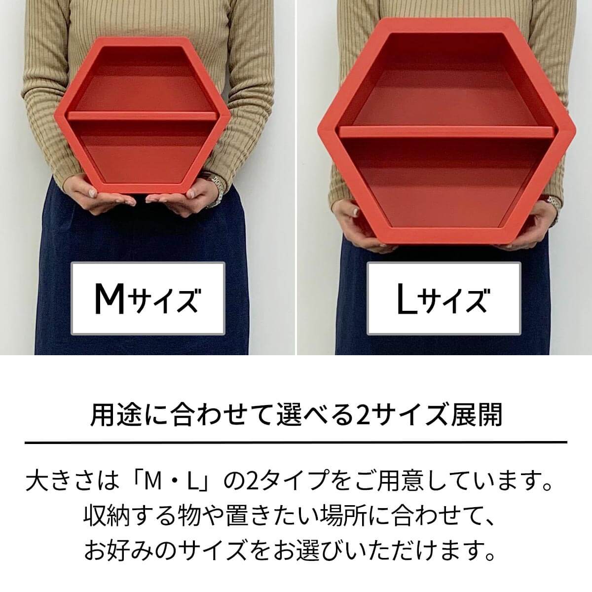 天馬公式 モアプラス Lサイズ ホワイトの通販